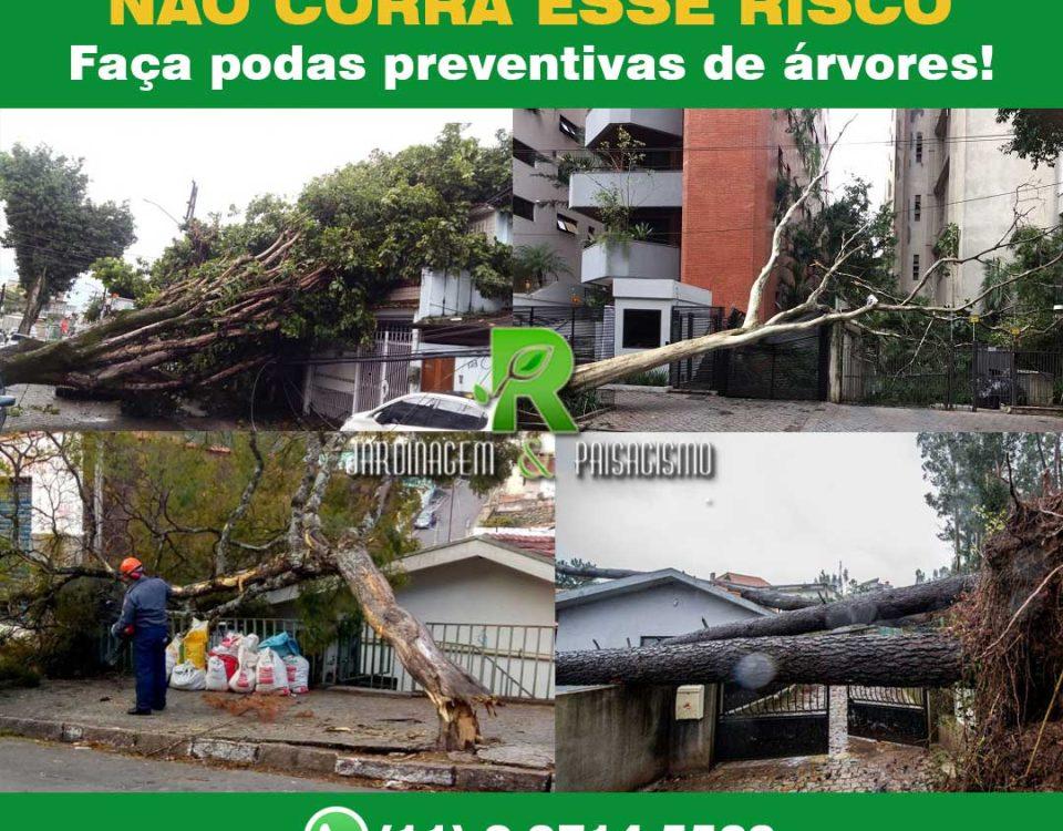 Não corra o risco de ter sua propriedade danificada com queda de árvores!