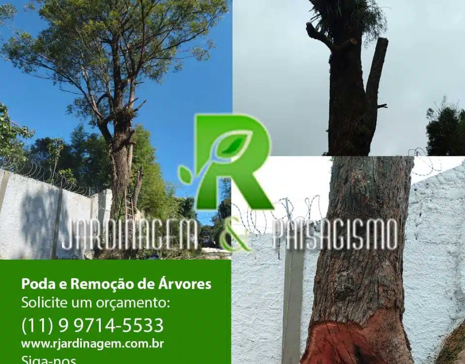 Remoção de Árvores em área de risco a segurança