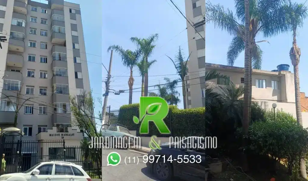 A R Jardinagem e Paisagismo oferece serviços especializados em poda de palmeiras em São Paulo e região.